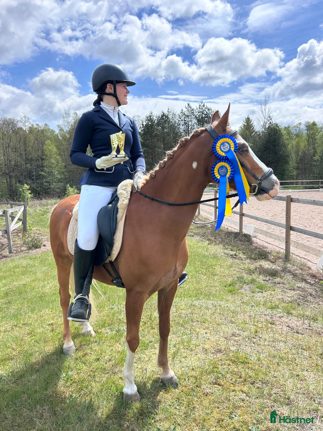 Allround hästar till salu: Guldponnyn Arhults Amazon - Annons 1