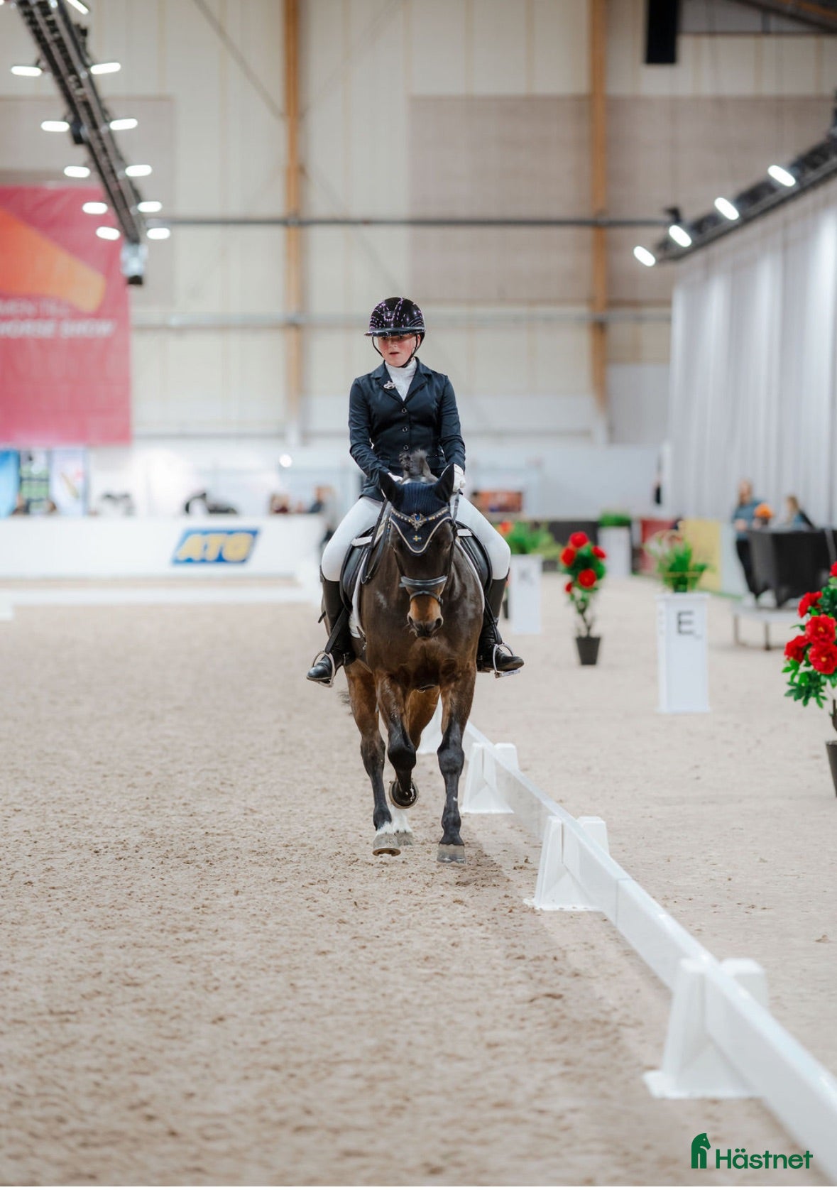 Dressyr hästar till salu: Superfin maxad C-Ponny - Annons 1