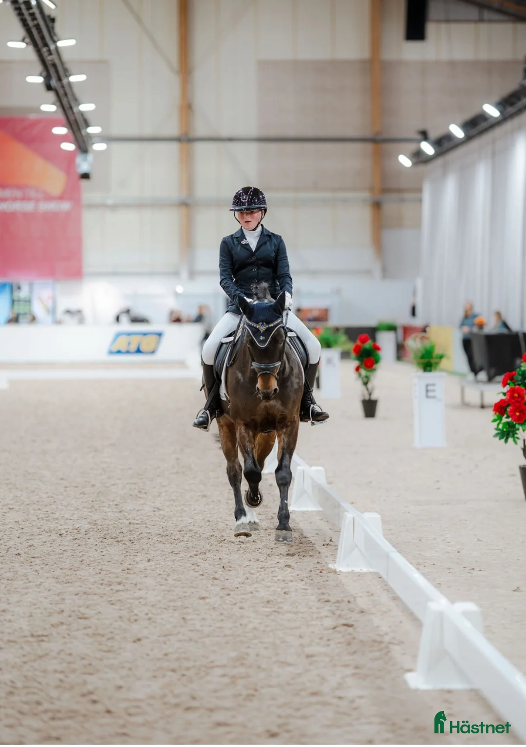 Dressyr hästar till salu: Superfin maxad C-Ponny - Annons 1