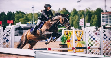  hästar i Västerås - Annons 15