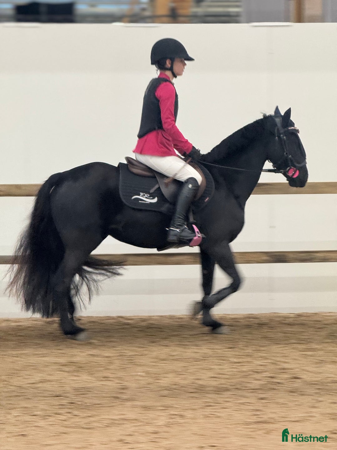 Hoppning hästar till salu: Sockersöt tävlingsponny kat.C - Annons 3