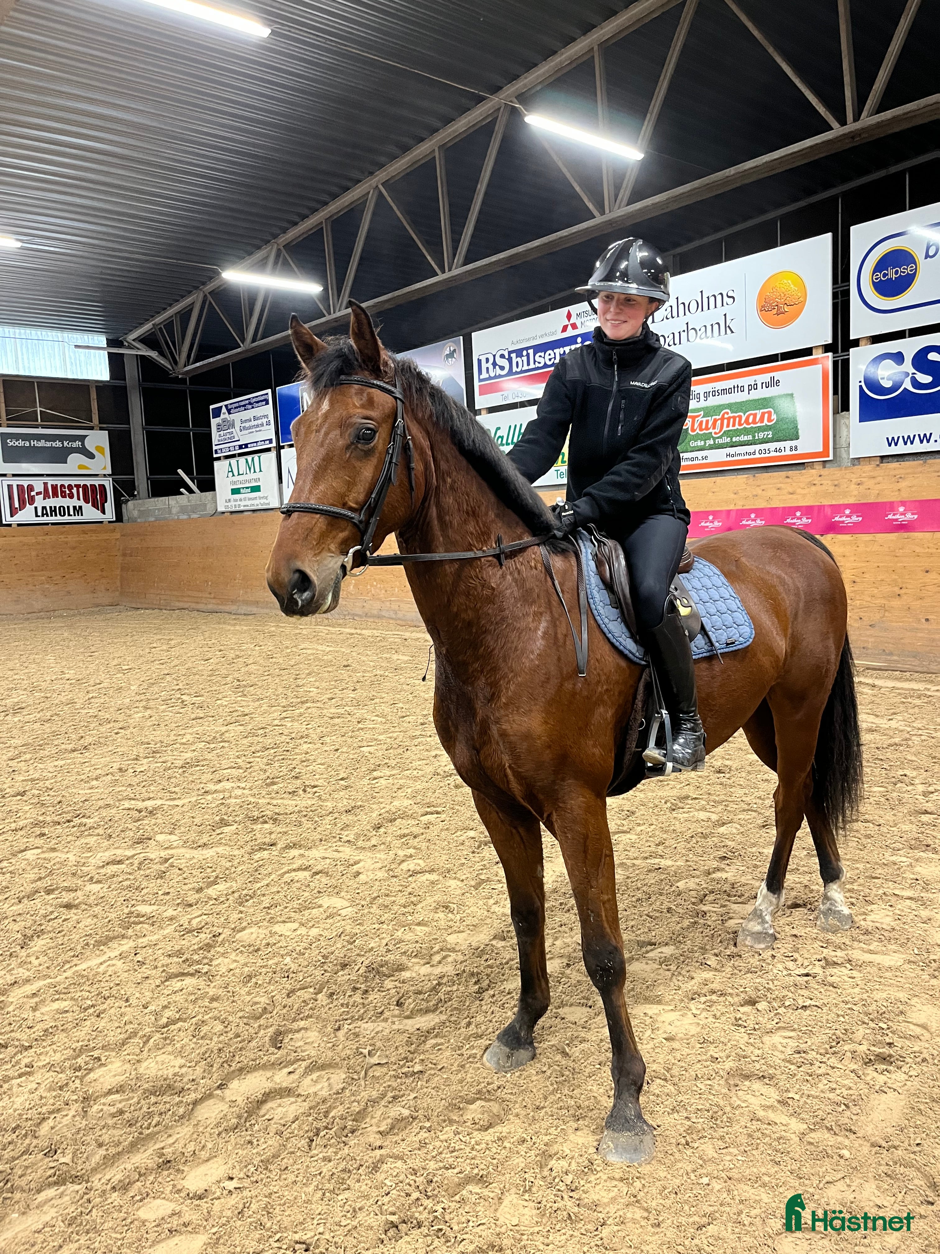  hästar Max Verstappen - Annons 9