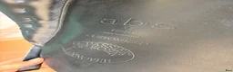 Sadlar hästutrustning till salu: Passier ABS  - Annons 10