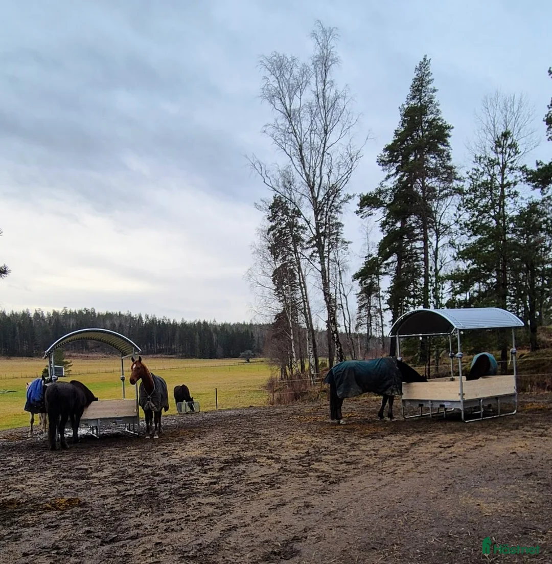  stallplats finnes: Lösdrift i Tullinge i Tullinge - Annons 1
