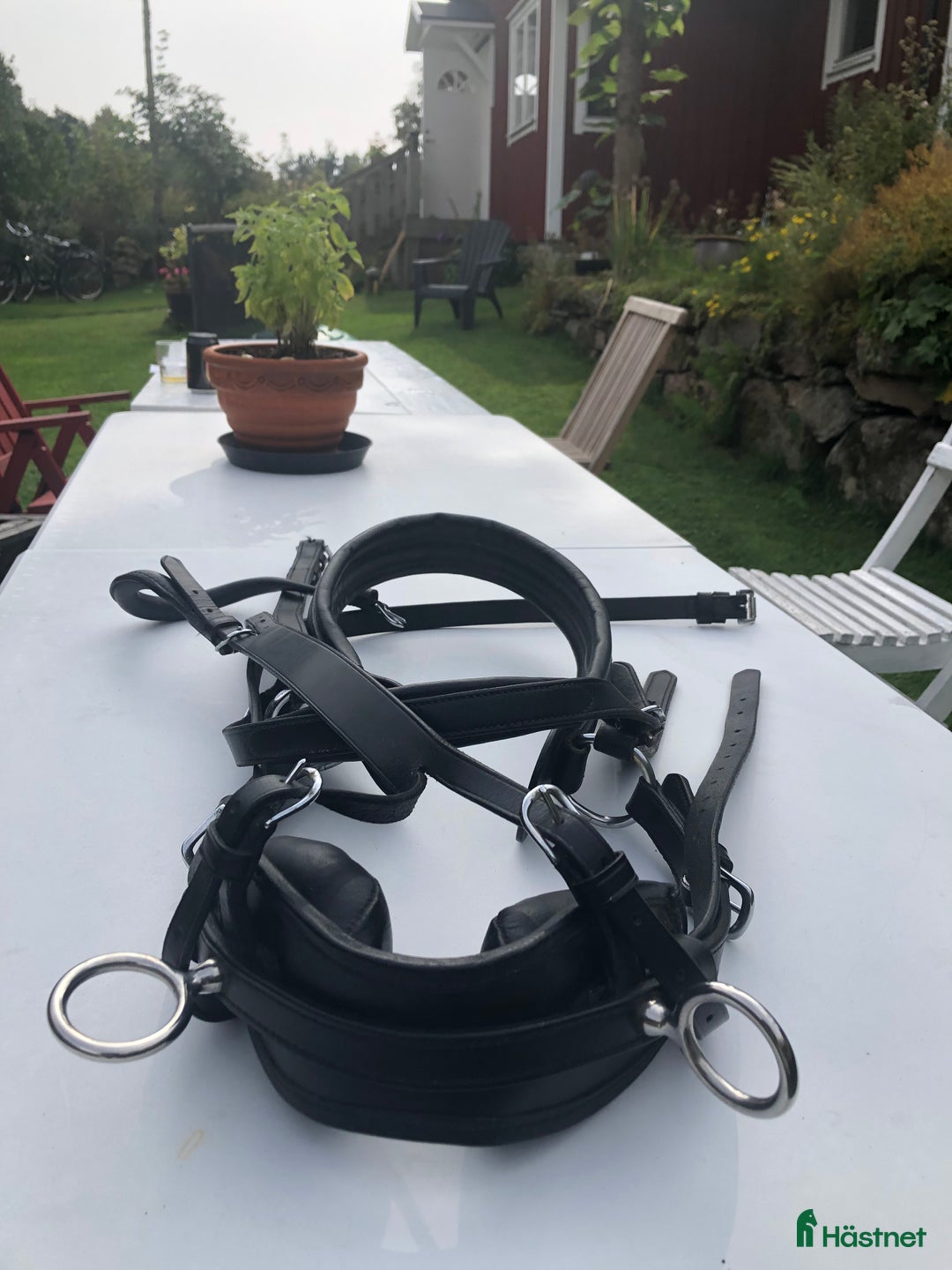 Övrig Ryttarutrustning ryttarutrustning till salu: Utrustning till minishettis i Väröbacka - Annons 3