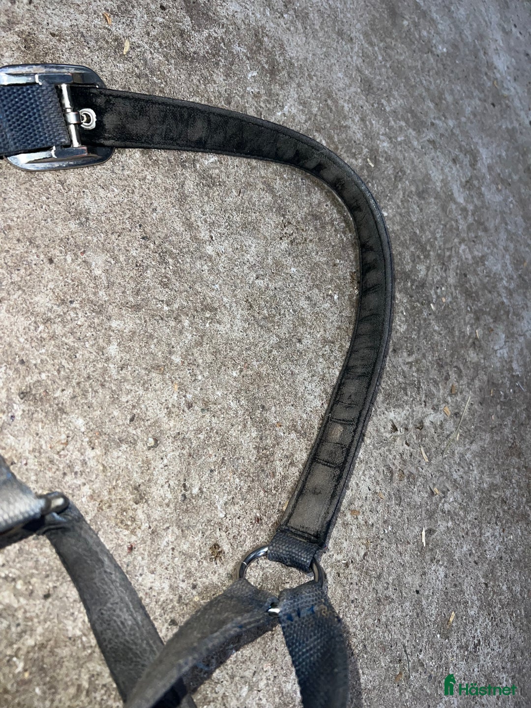 Övrig Hästutrustning hästutrustning till salu: Kingsland grimma i Växjö - Annons 3