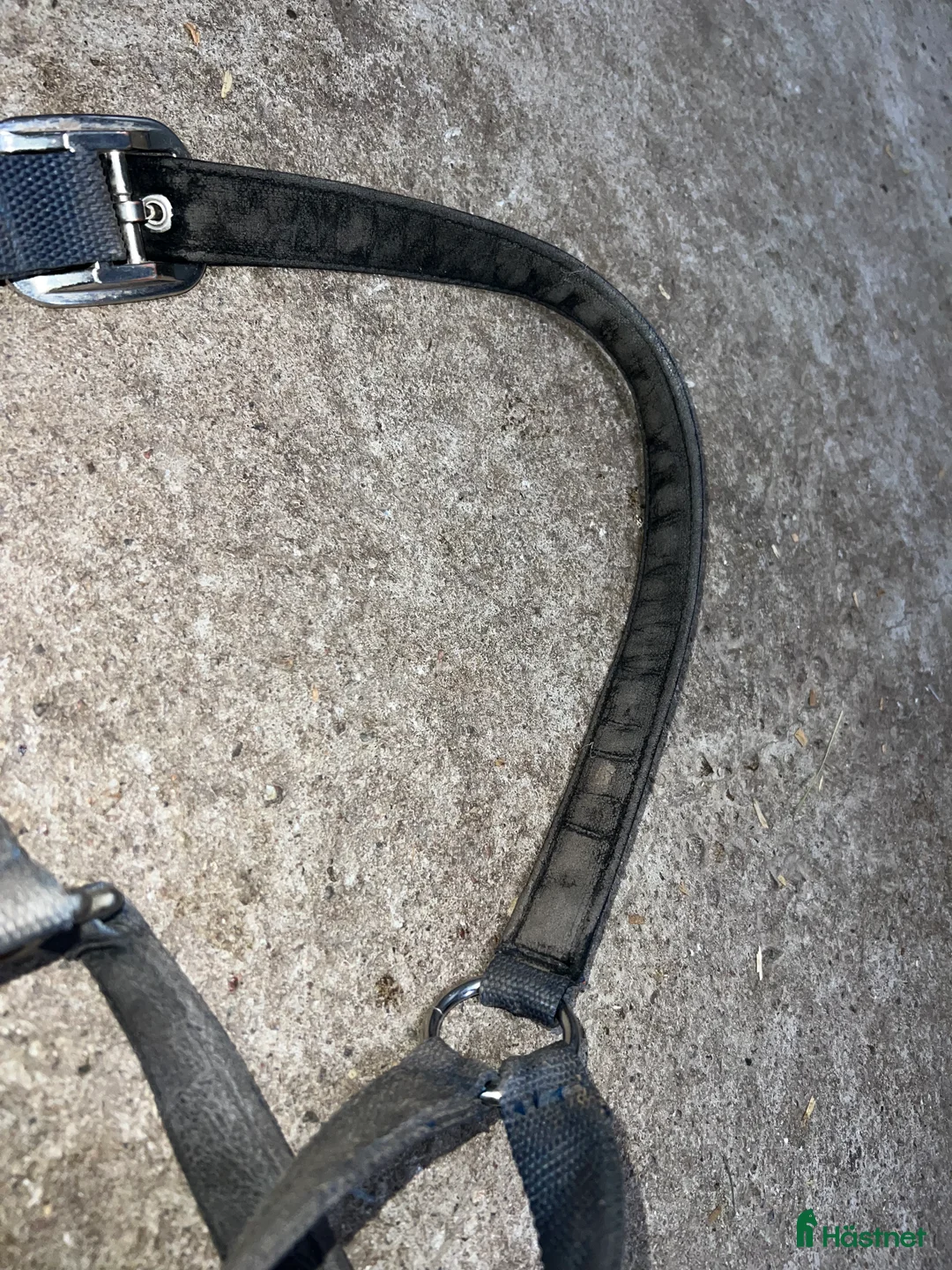 Övrig Hästutrustning hästutrustning till salu: Kingsland grimma i Växjö - Annons 3