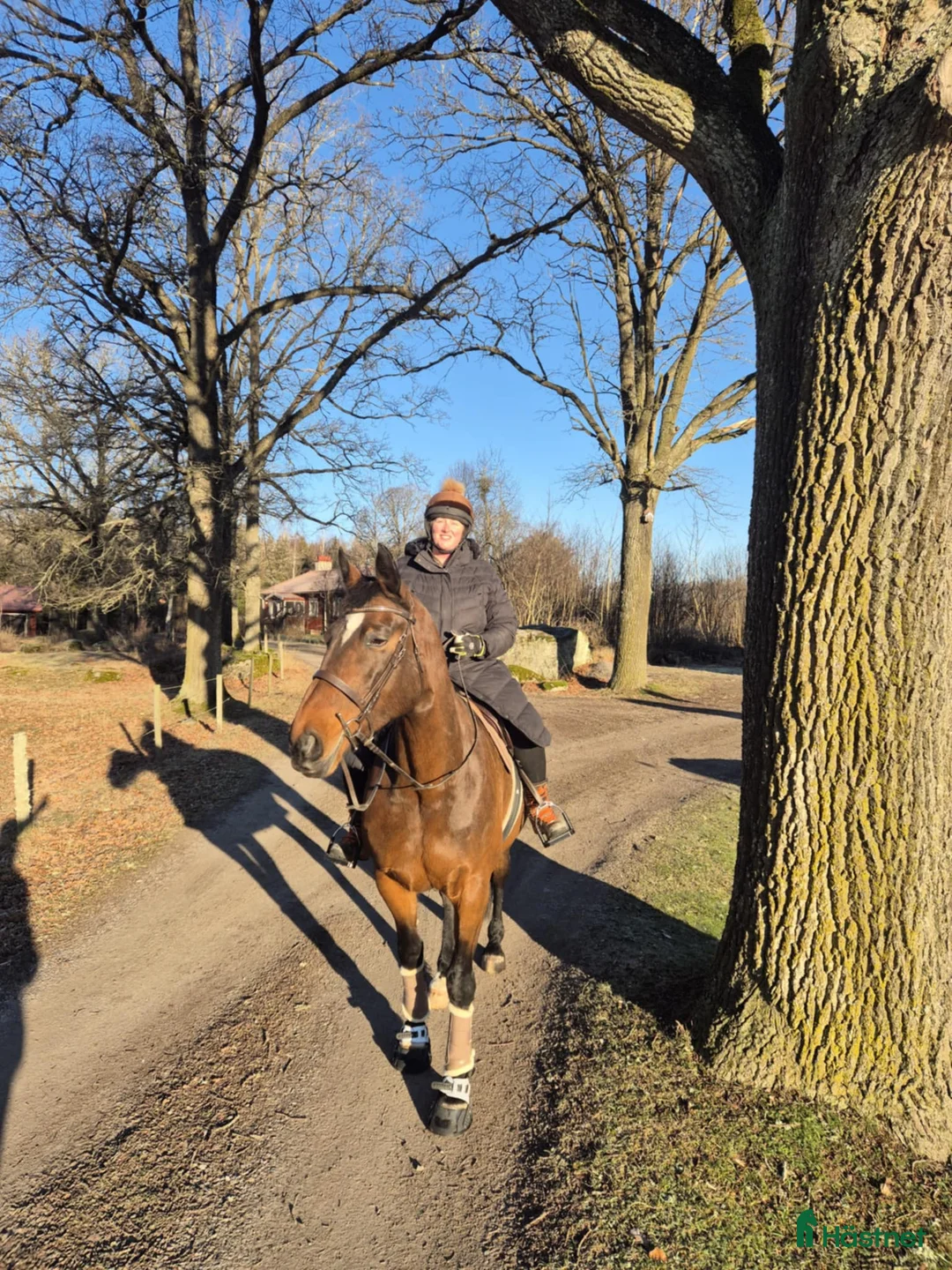 Galleribild {{count}}