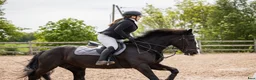 Allround hästar till salu: Irsk sportsponni selges! Allround!  i Mysen - Annons 7