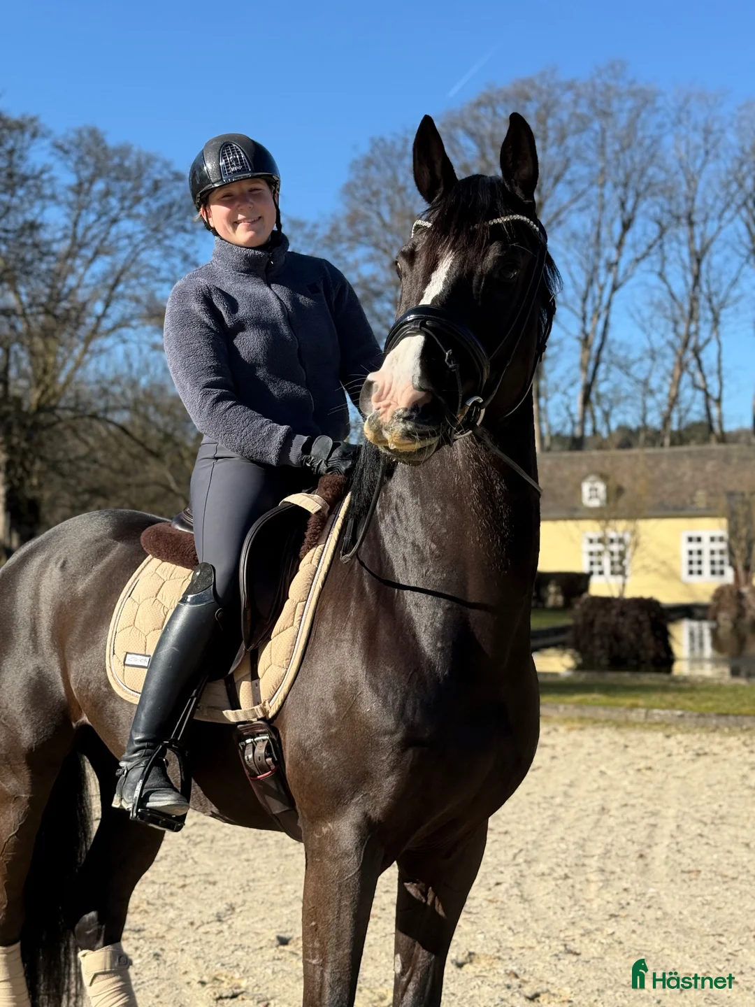 Galleribild {{count}}