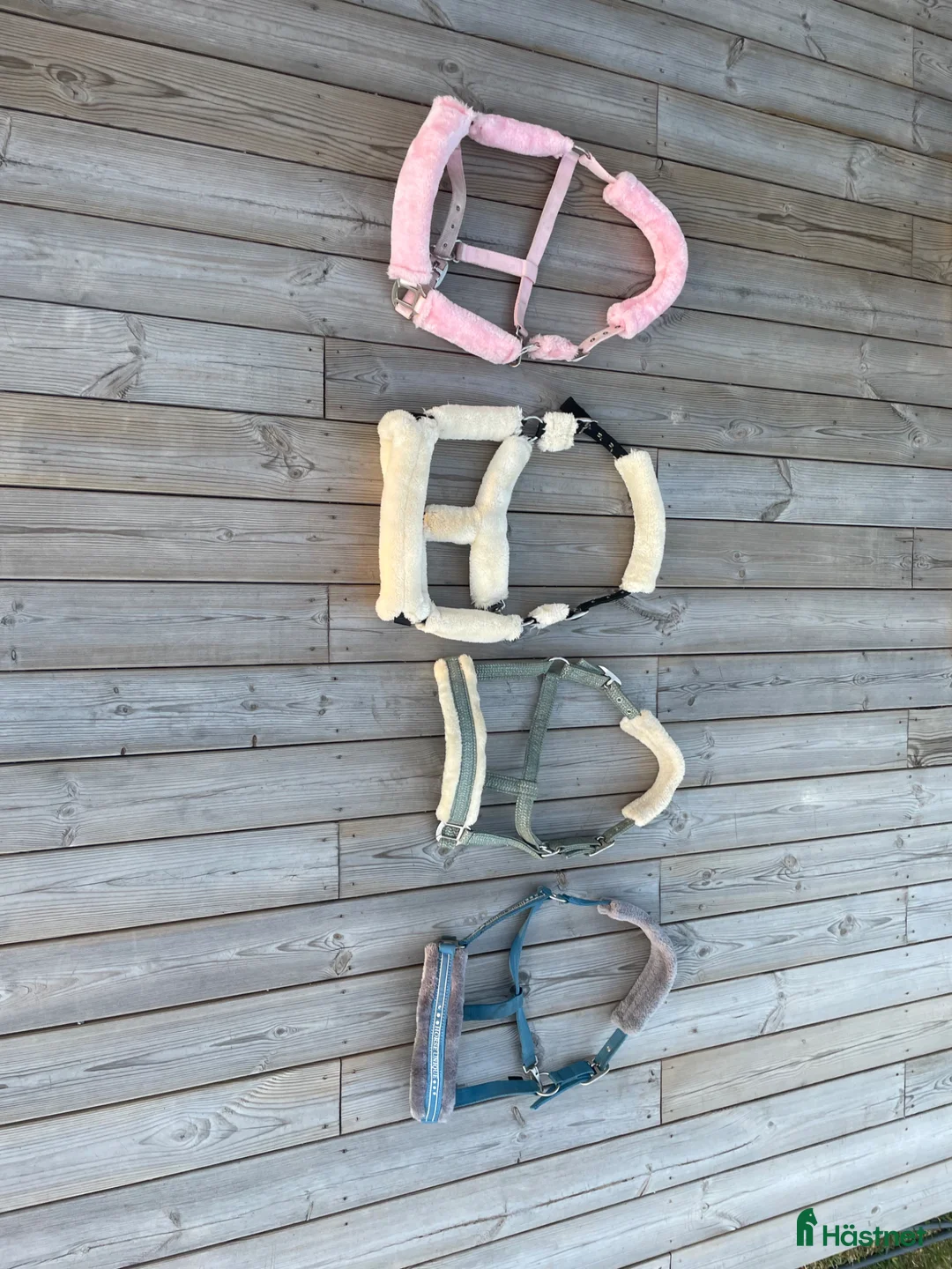 Övrig Hästutrustning hästutrustning till salu: Grimmor, Horse unique, Hööks - Annons 1