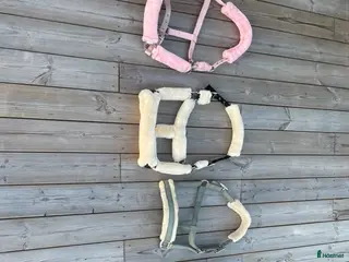 Övrig Hästutrustning hästutrustning till salu: Grimmor, Horse unique, Hööks - Annons 1