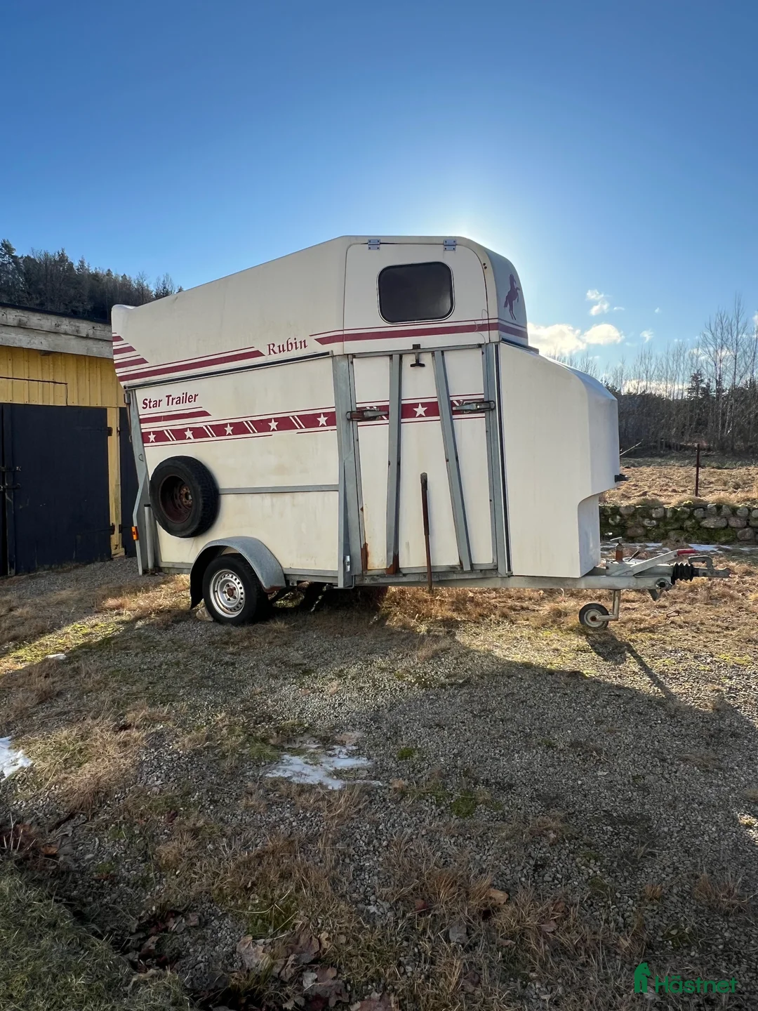 Hästtransporter  fordon & transport till salu: Star Rubin med fronturlastning och sadelkammare - Annons 1