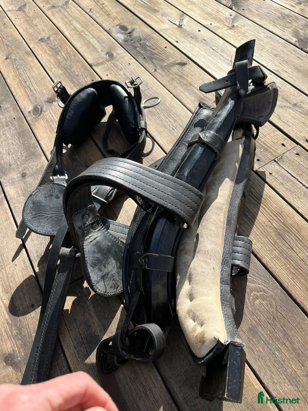 Körselar körning till salu: Loksele a/b-ponny - Annons 2