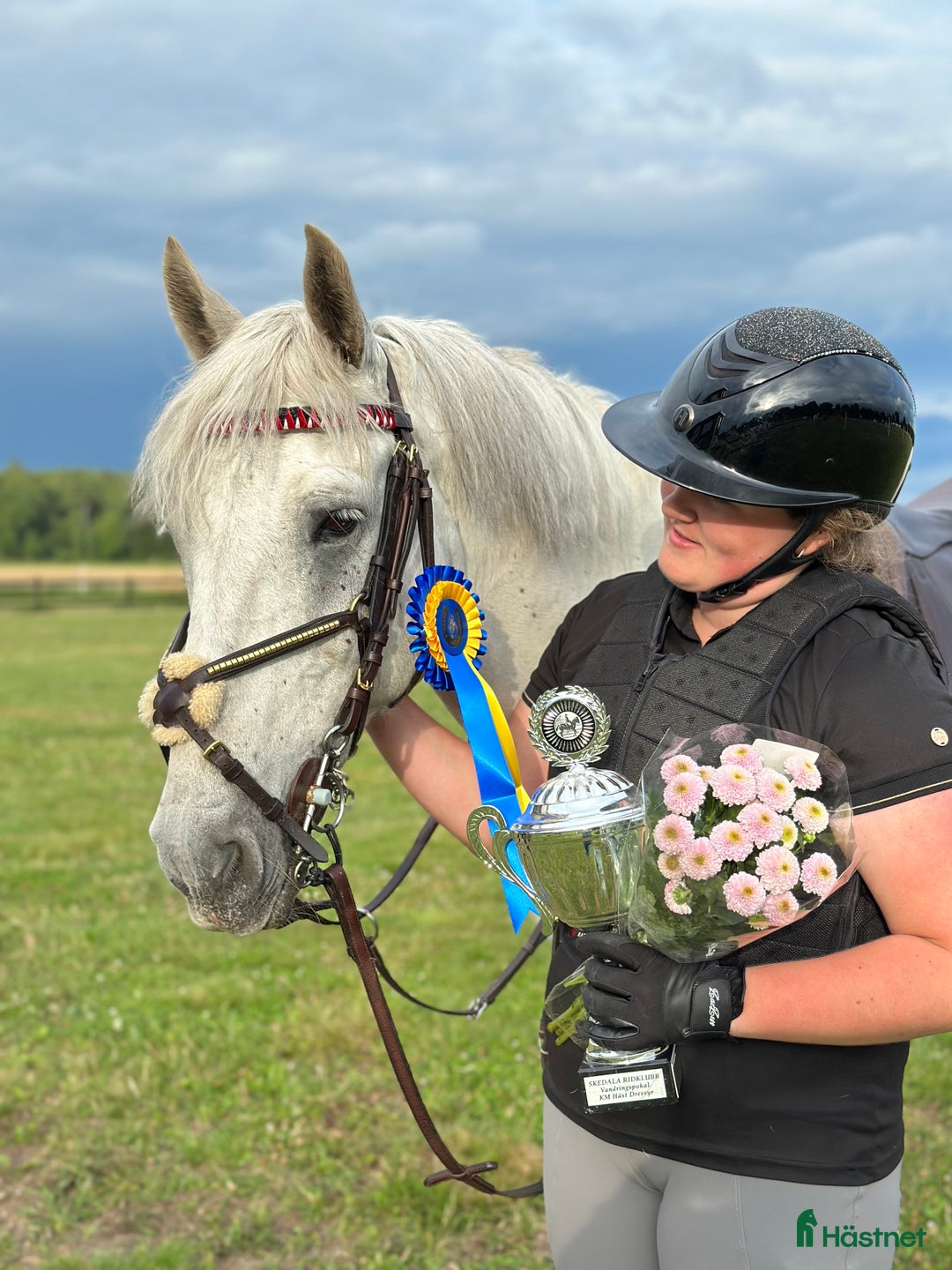 Allround hästar till salu: 🌟Oslipad diamant🌟 i Kinnared - Annons 8