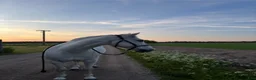 Allround hästar till salu: En läromästare utan dess like - Annons 2