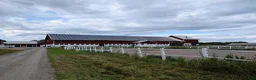 stallplats finnes: Ledig plats på lösdrift med fullservice - Annons 2