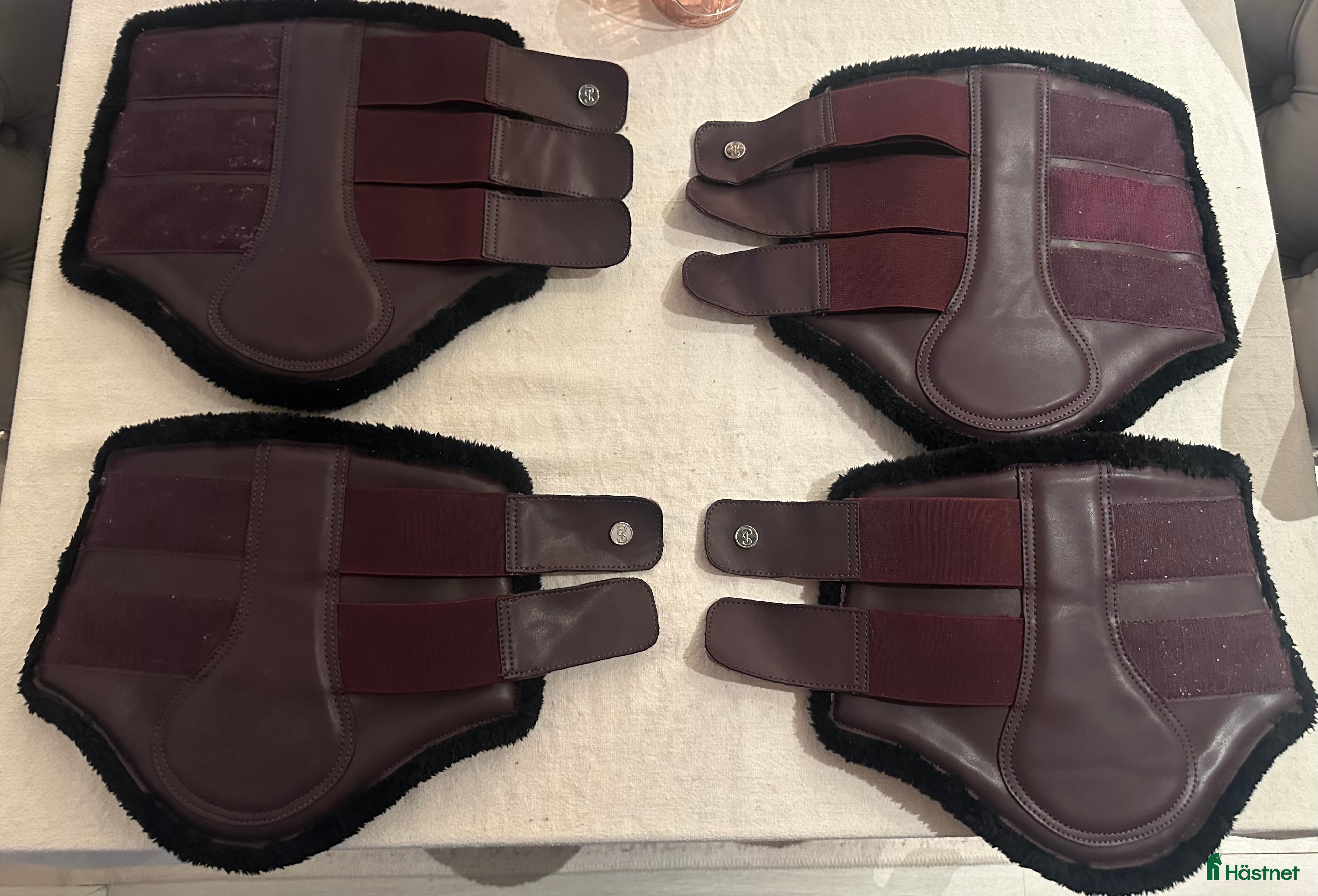 Benskydd hästutrustning till salu: Benskydd PS stl Full i Södertälje - Annons 18