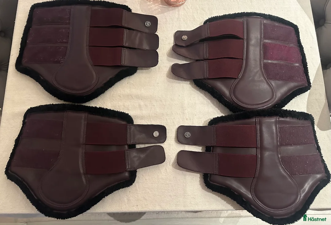 Benskydd hästutrustning till salu: Benskydd PS stl Full - Annons 1