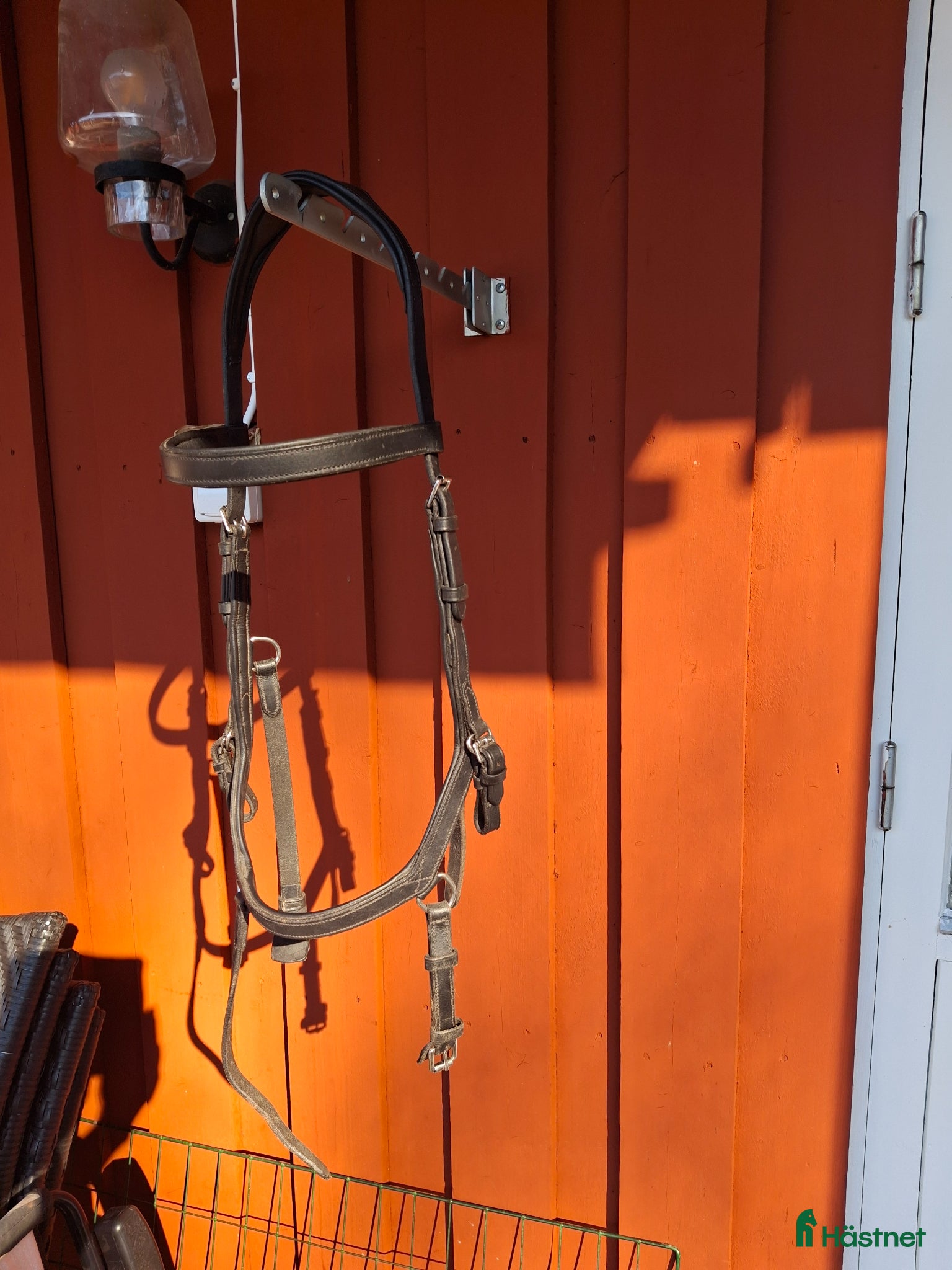 Träns hästutrustning Miklem - Annons 1