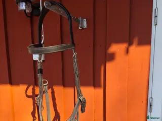 Träns hästutrustning Miklem - Annons 1