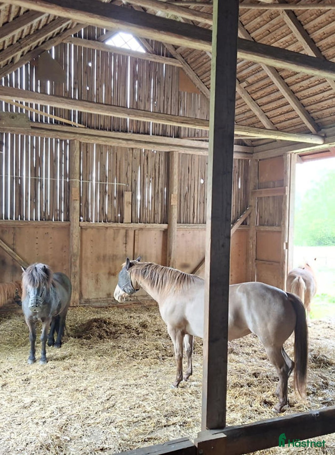  stallplats finnes: Lösdriftsplats i vacker natur i Sturefors - Annons 2