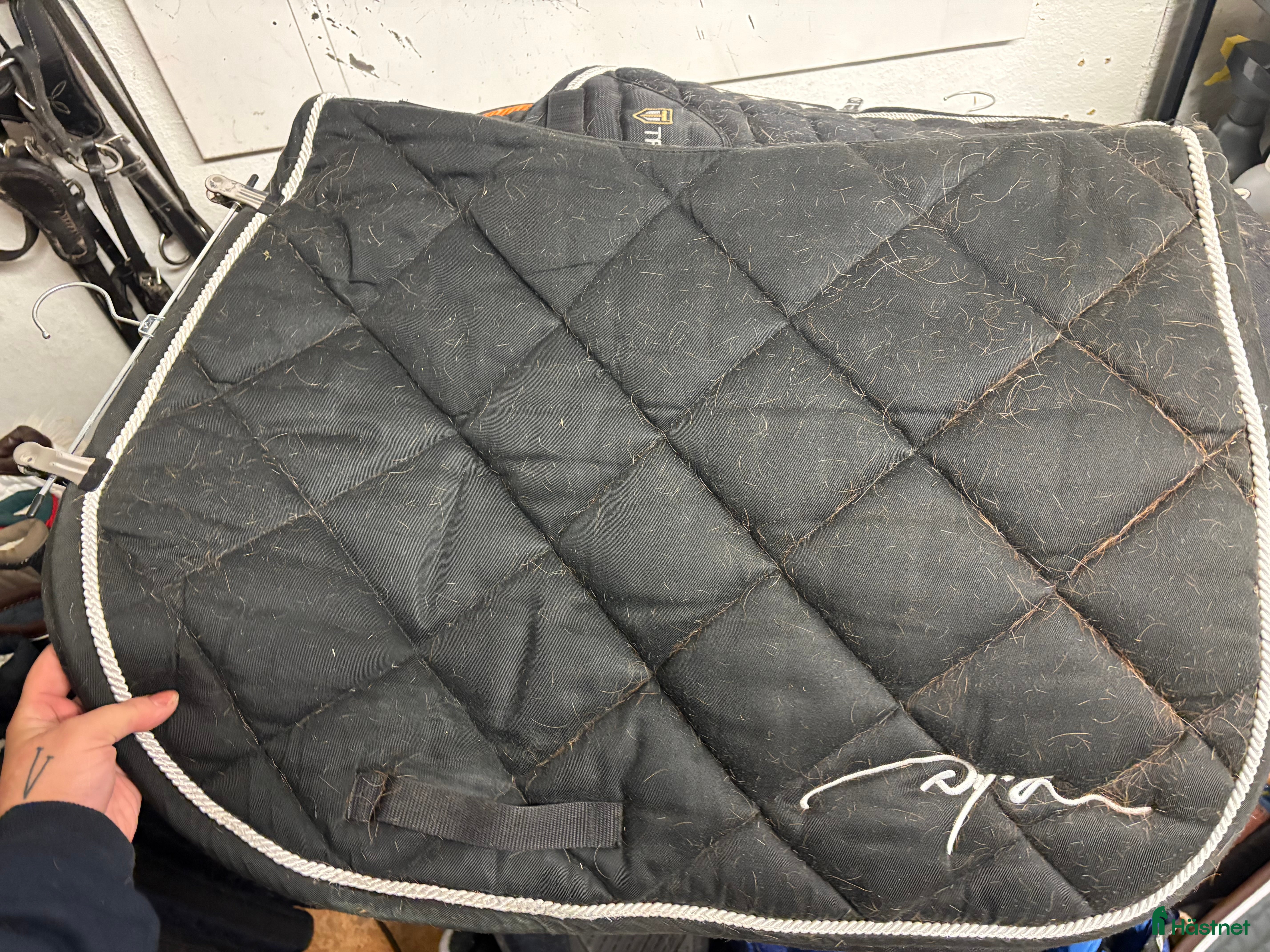 Schabrak & Vojlockar hästutrustning till salu: Dy’on schabrak i Oskarshamn - Annons 12