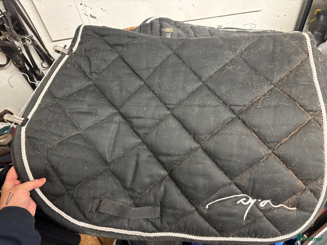 Schabrak & Vojlockar hästutrustning till salu: Dy’on schabrak i Oskarshamn - Annons 1