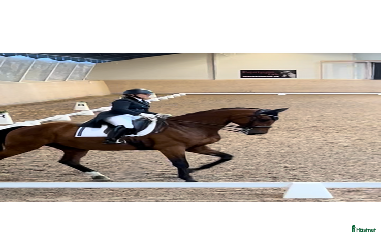  hästjobb i Stockholm - Annons 15