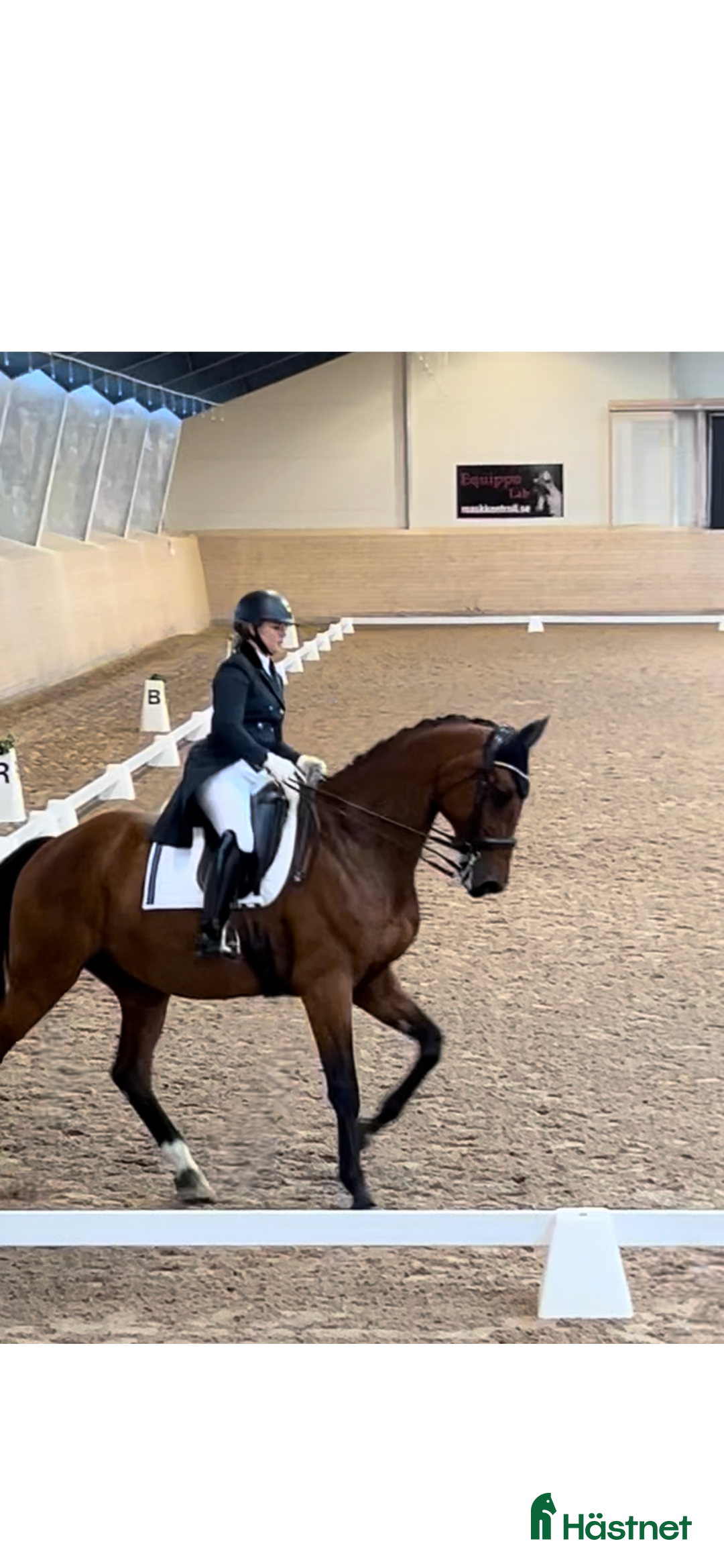  hästjobb finnes: Dressyrträning i Stockholm i Stockholm - Annons 1