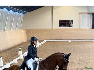 hästjobb Dressyrträning i Stockholm i Stockholm - Annons 20