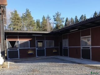 hästservice Rehabstall/Konvalecent- semesteruppstallning i Märsta - Annons 16