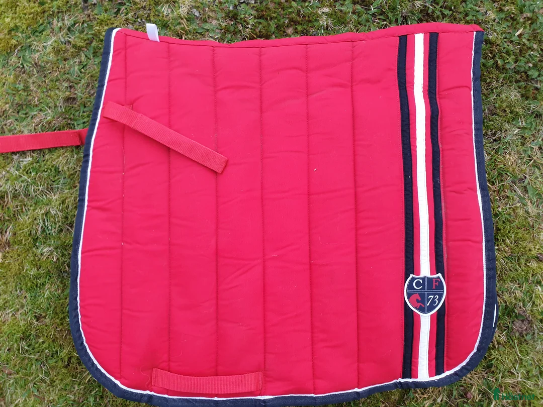 Övrig Hästutrustning hästutrustning till salu: Hästsaker i Skeppshult - Annons 25