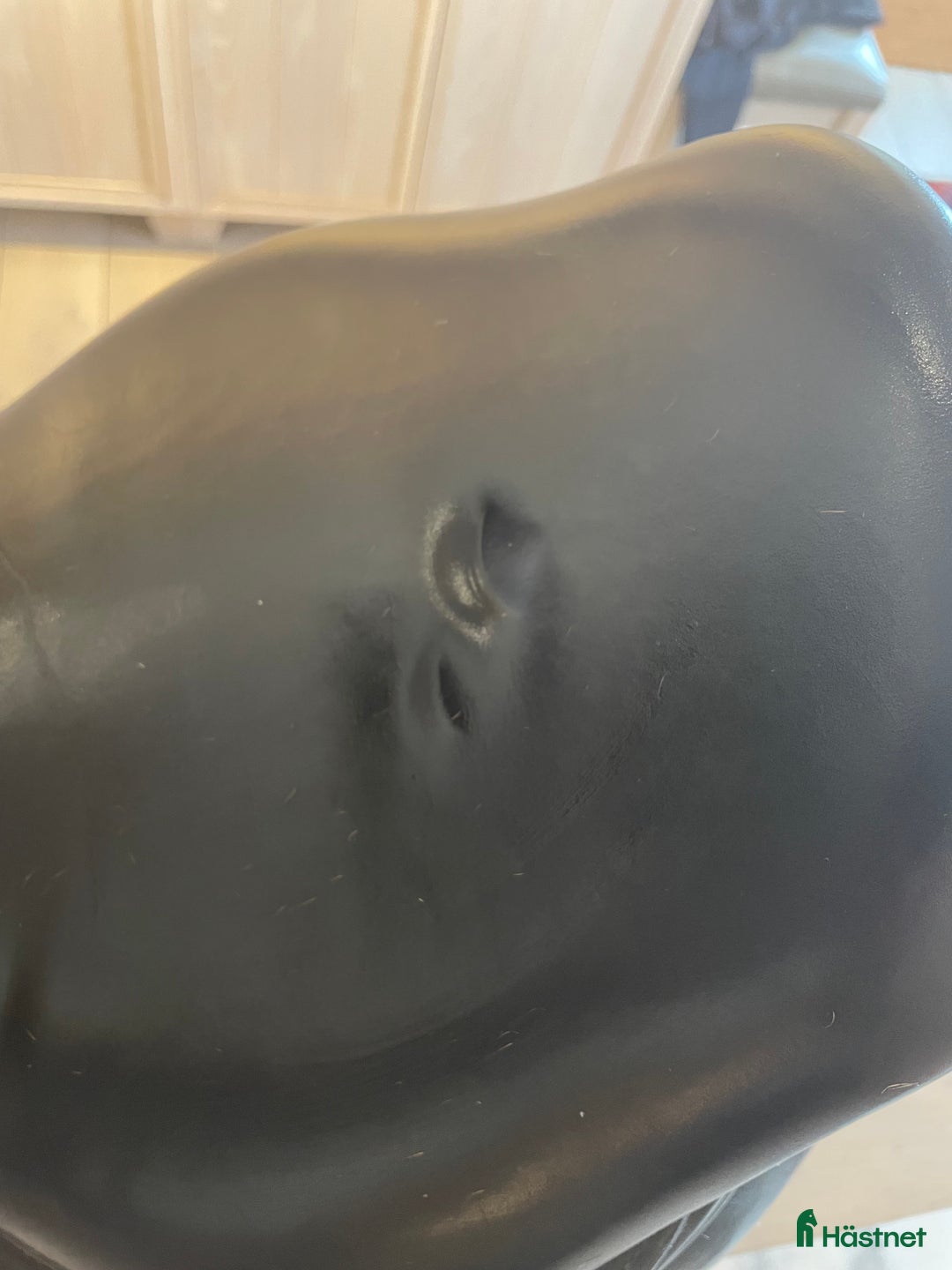 Sadlar hästutrustning till salu: Amerigo Pasubio pinerolo i Heberg - Annons 8