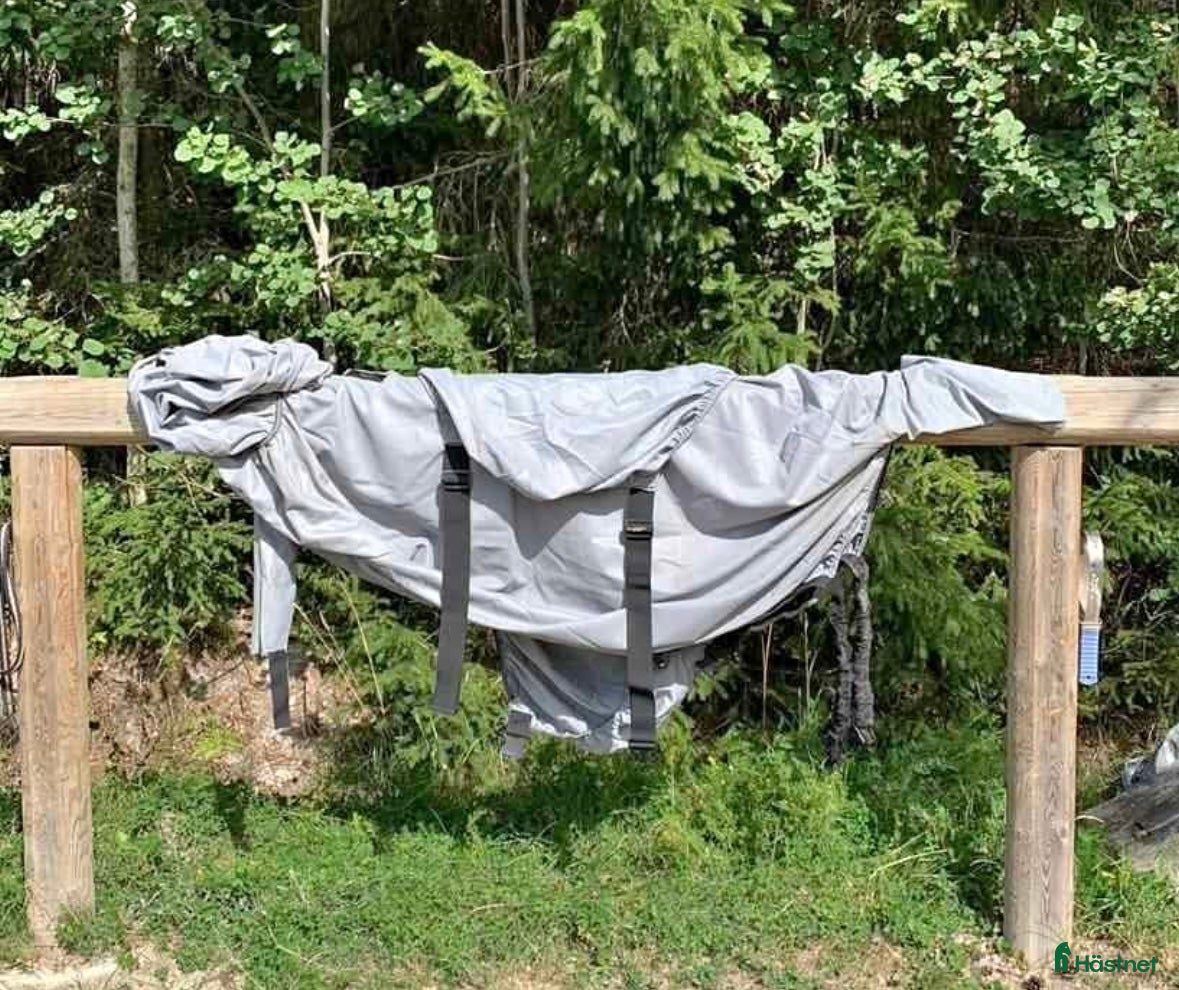 Övrig Hästutrustning hästutrustning till salu: Blandat  i Flen - Annons 11