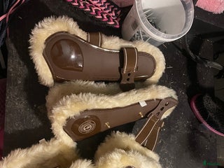 Benskydd hästutrustning till salu: Fina benskydd i Sjuntorp - Annons 12