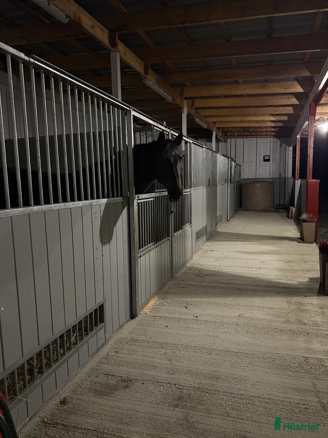  stallplats finnes: Konvalescensbox i Nässjö - Annons 2