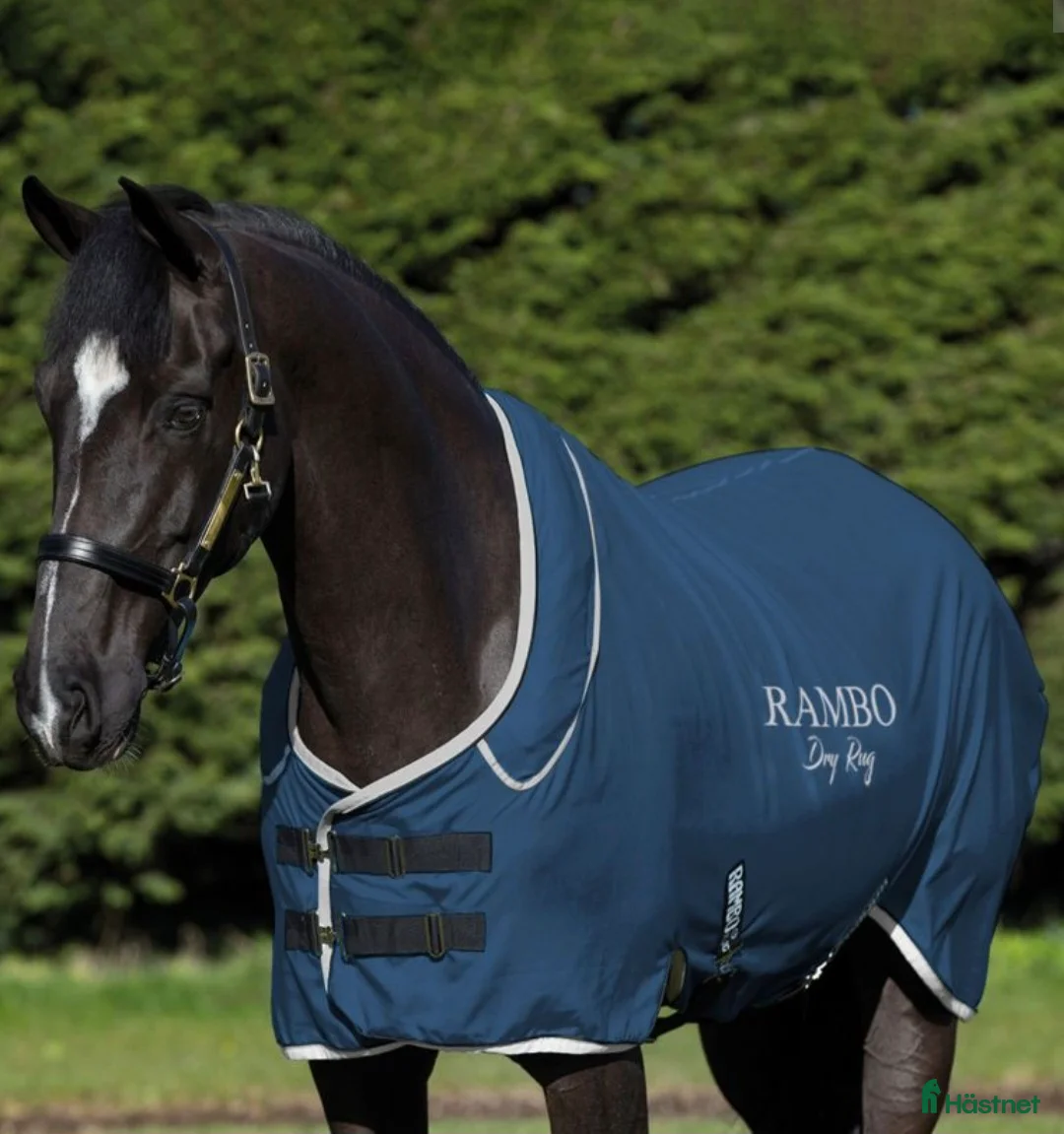 Täcken hästutrustning till salu: Horseware Rambo Supreme Dry Rug Marinblå/Silver i Blentarp - Annons 6