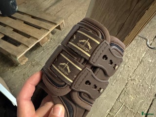 Benskydd hästutrustning till salu: Veredus bakskydd i Falun - Annons 21