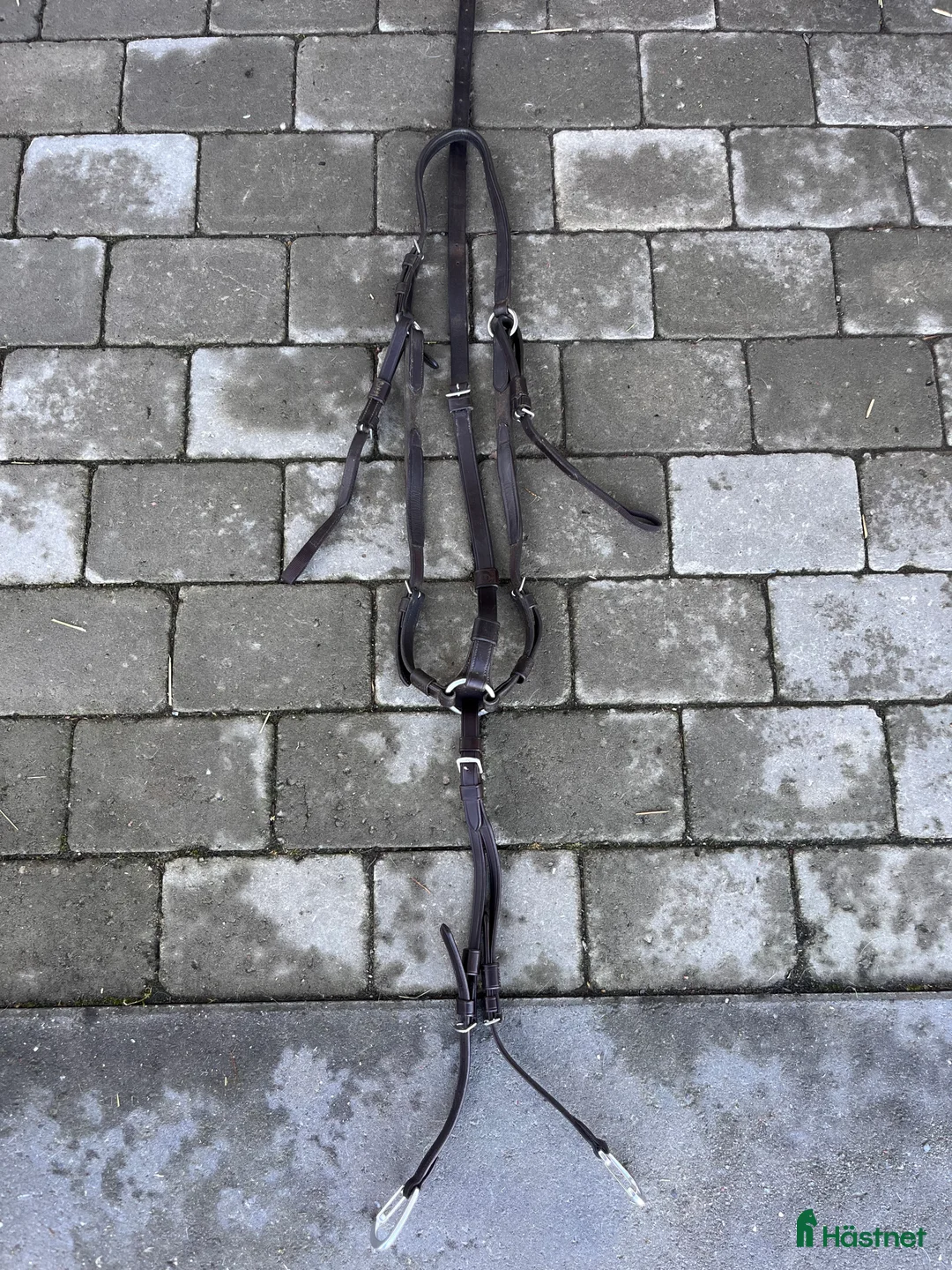 Träns hästutrustning till salu: Förbygel PS of Sweden - Annons 2