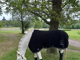 Övrig Hästutrustning hästutrustning till salu: Luddgrimma cob i Johanneshov - Annons 4
