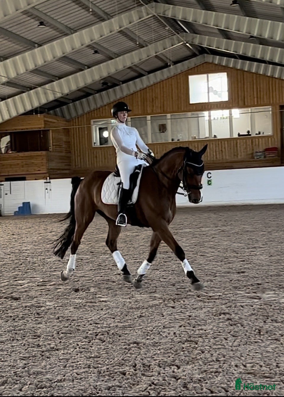  hästar Dressyrhäst med utstrålning - Annons 1