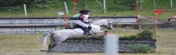 Allround hästar till salu: Välutbildad B-ponny - Annons 6