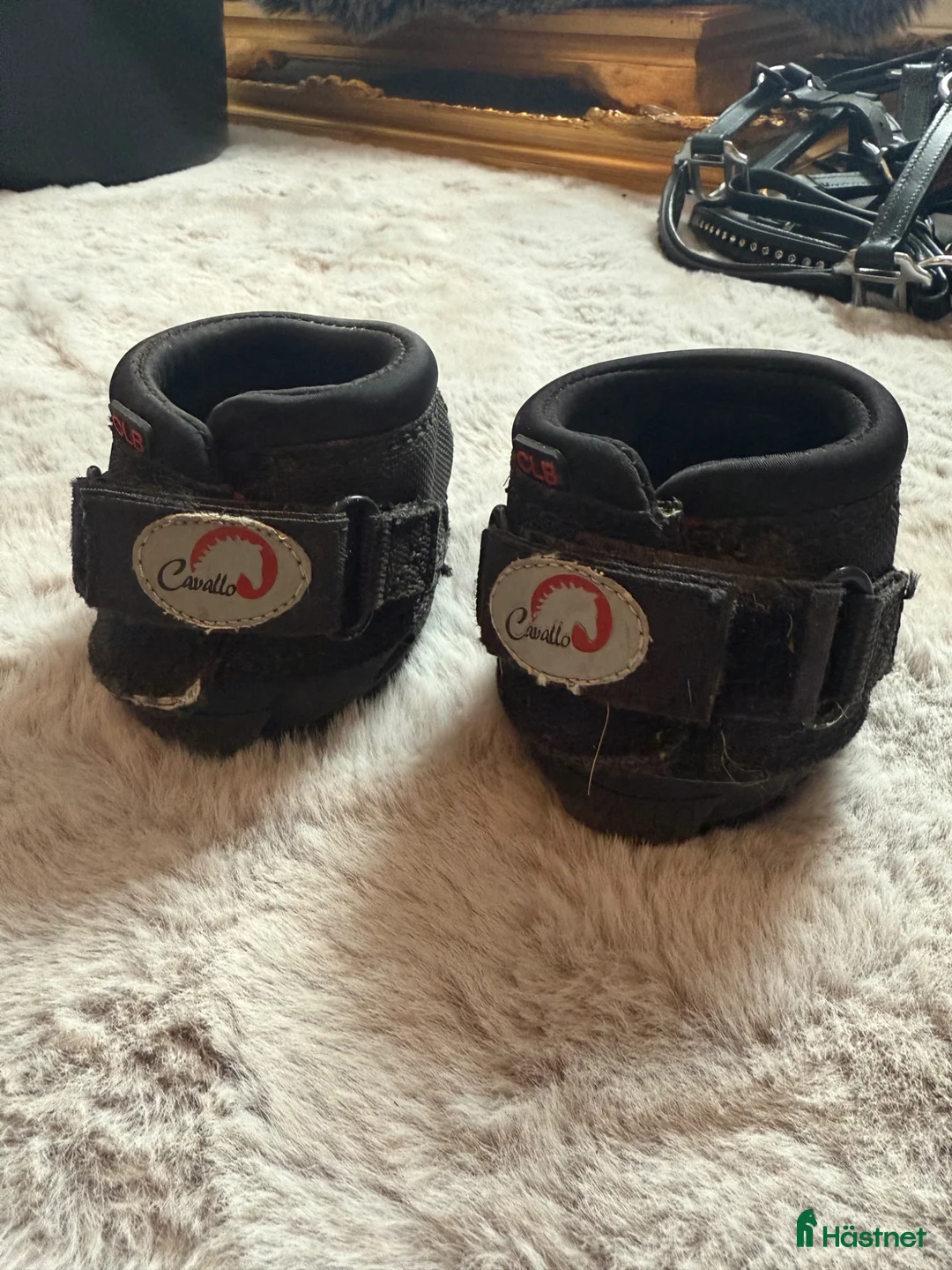 Övrig Hästutrustning hästutrustning till salu: CLB Boots slim 1  - Annons 1