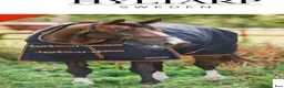 Täcken hästutrustning till salu: Hyltarp - Annons 1
