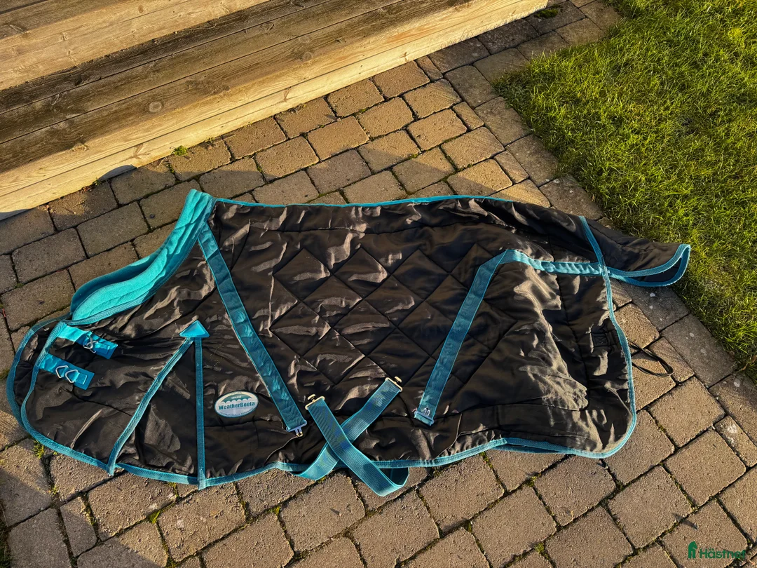 Täcken hästutrustning till salu: Rejält innetäcke stl 125 i Kungälv - Annons 1