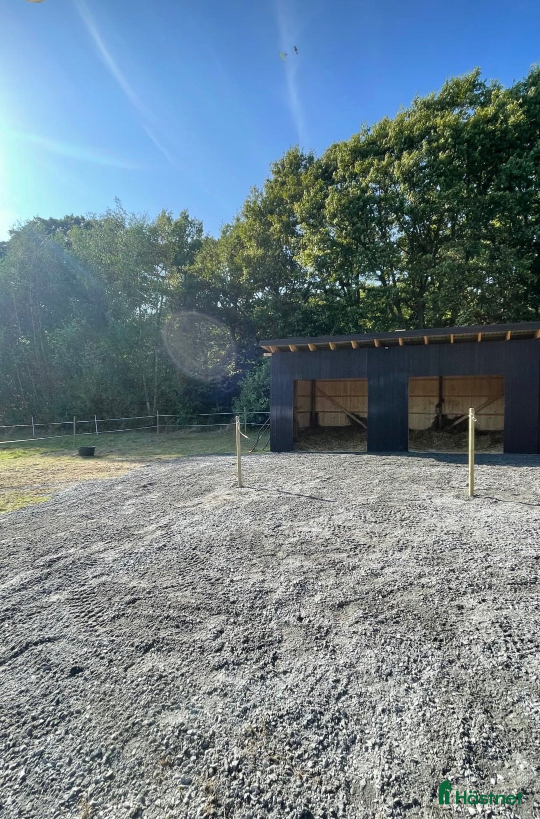 Allround hästar till salu: Söker trygg valack  i Onsala - Annons 4