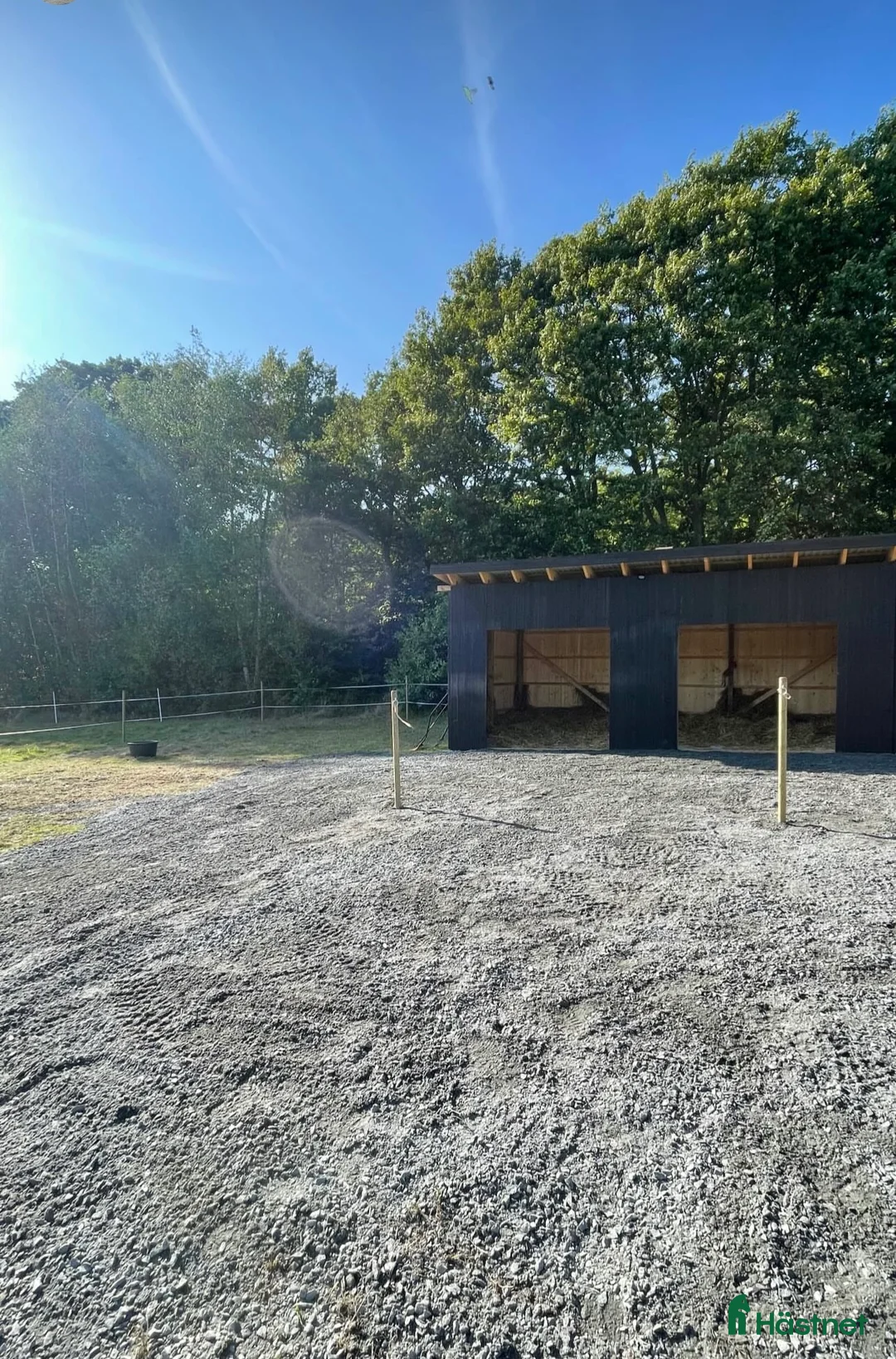 Allround hästar till salu: Söker trygg valack  i Onsala - Annons 4