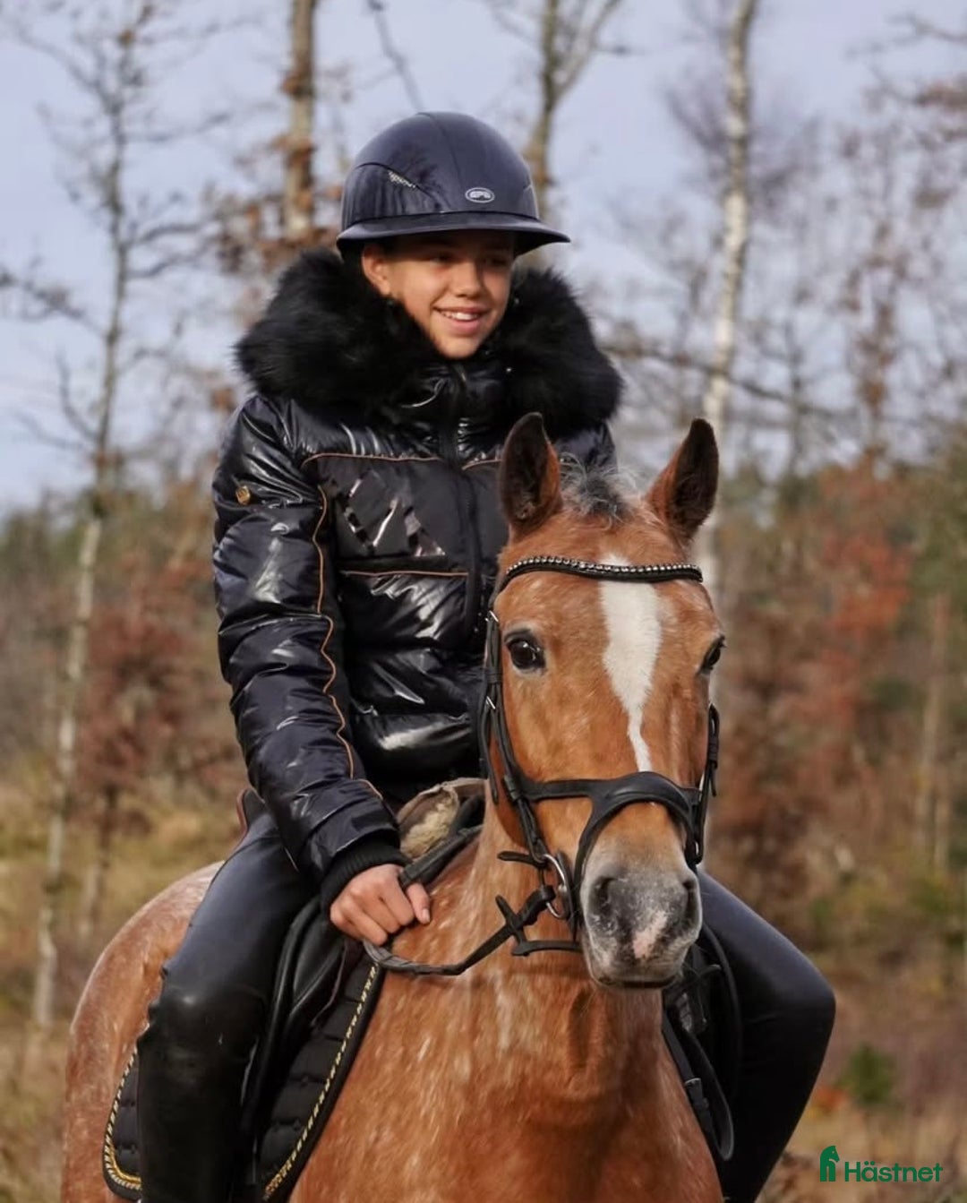 Hoppning hästar till salu: Underbar maxad c-ponny! i Ytterby - Annons 4