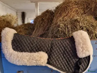 Schabrak & Vojlockar hästutrustning Fårskinnspad - Annons 1